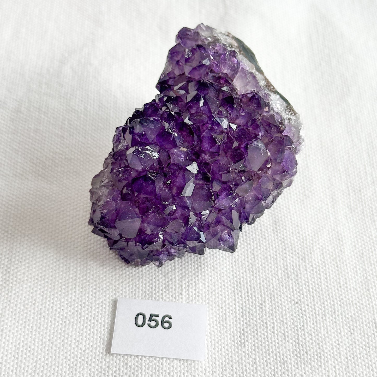 Uruguayan Amethyst Pine Formation | Sussex Stones