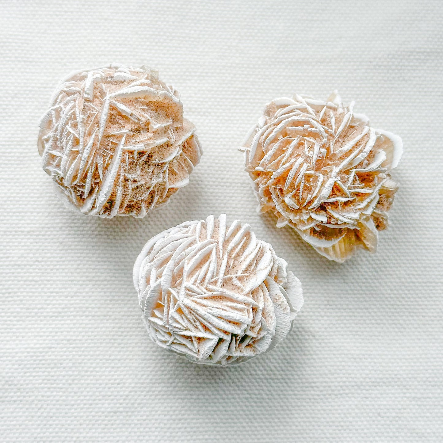 Desert Sand Rose - Sussex Stones Crystal Shop