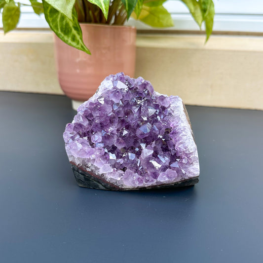 Amethyst Cut Base Druzy - Sussex Stones Crystal Shop