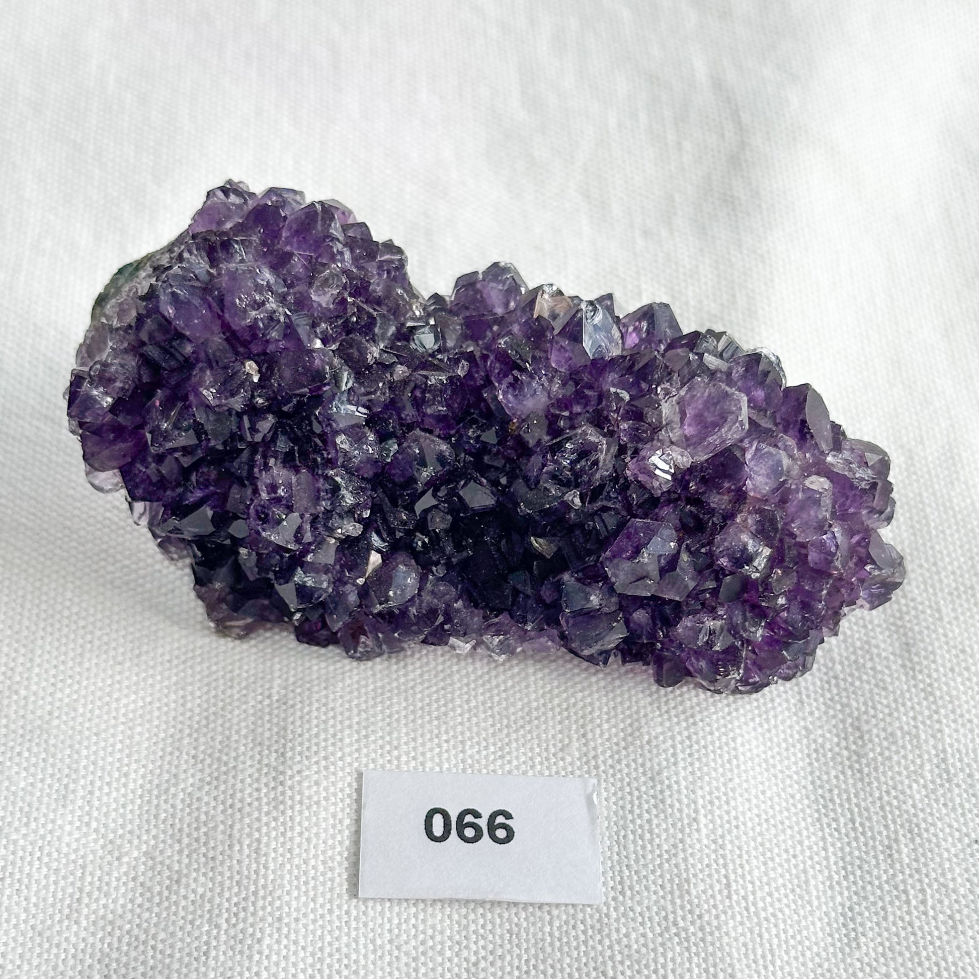 Uruguayan Amethyst Pine Formation | Sussex Stones 