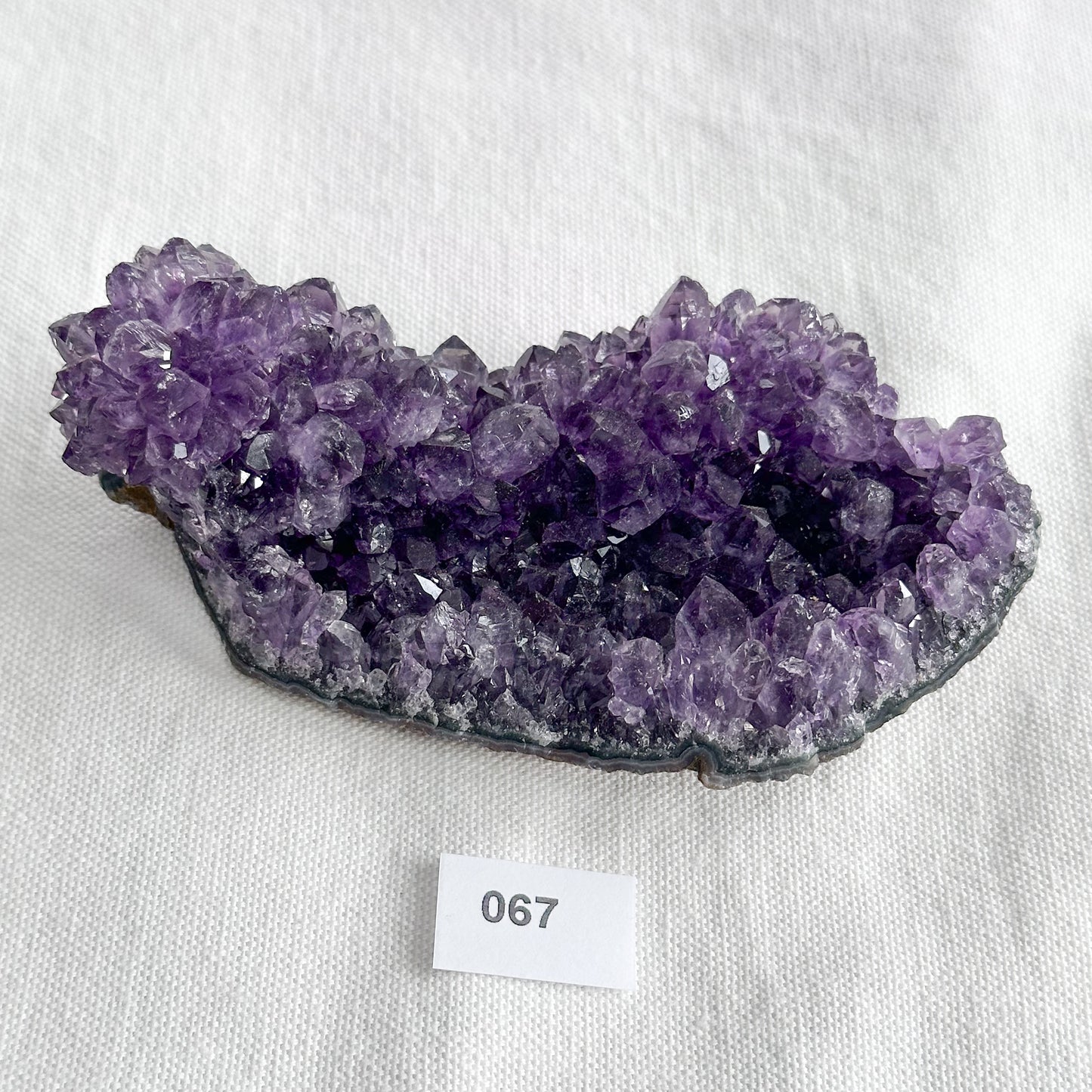 Uruguayan Amethyst Pine Formation | Sussex Stones 