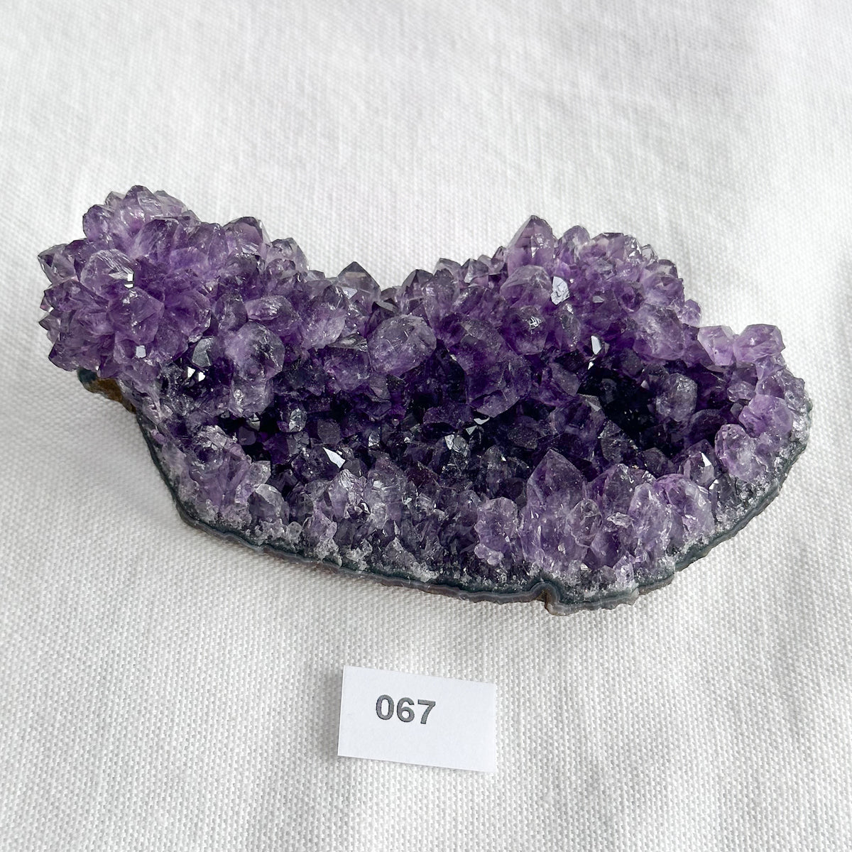 Uruguayan Amethyst Pine Formation | Sussex Stones 