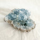 Celestite Cluster - Sussex Stones Crystal Shop 